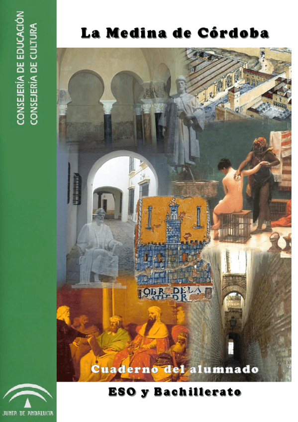 Miniatura del documento MEDINA.pdf