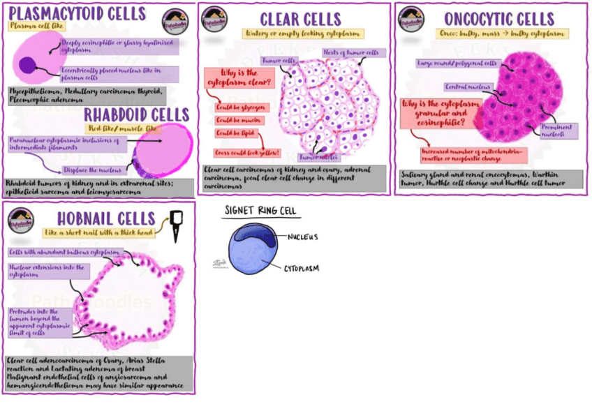 Miniatura del documento PATRONES.pdf.pdf