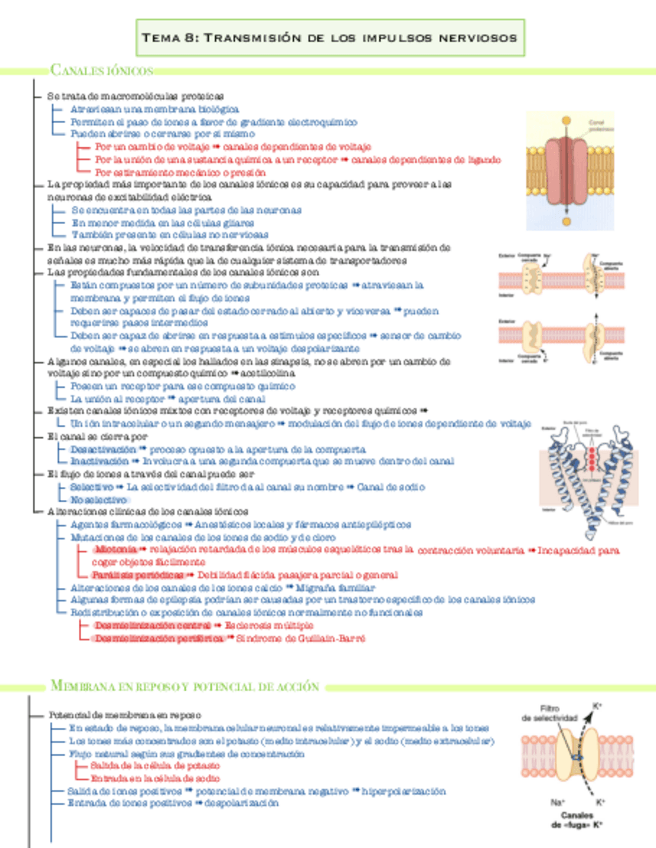 Miniatura del documento TEMA-8.pdf