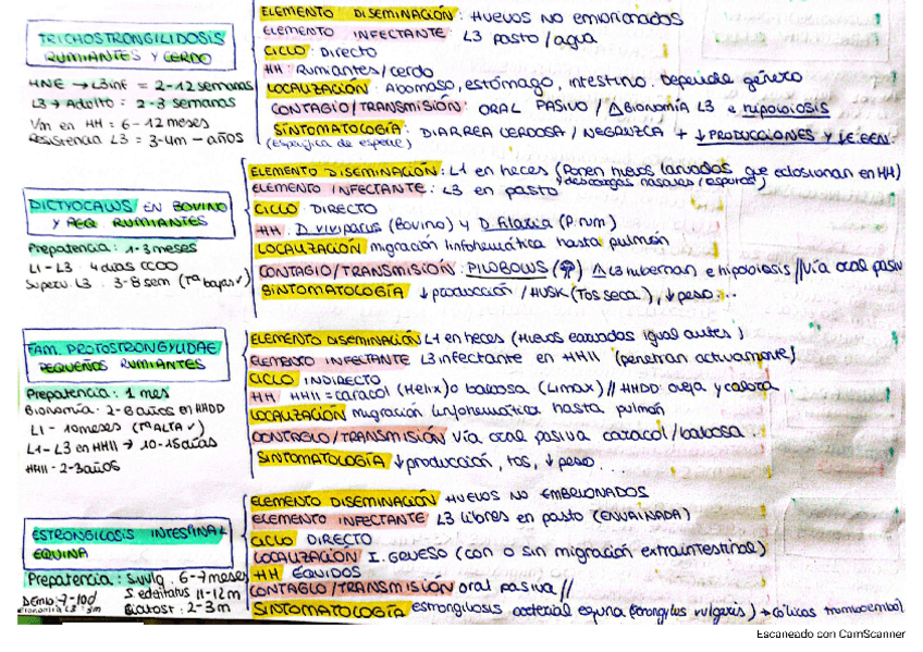 Miniatura del documento Esquema-Tercer-parcial.pdf