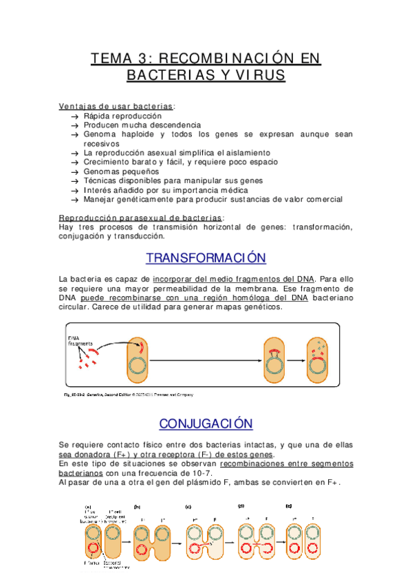 Miniatura del documento TEMA 3.pdf