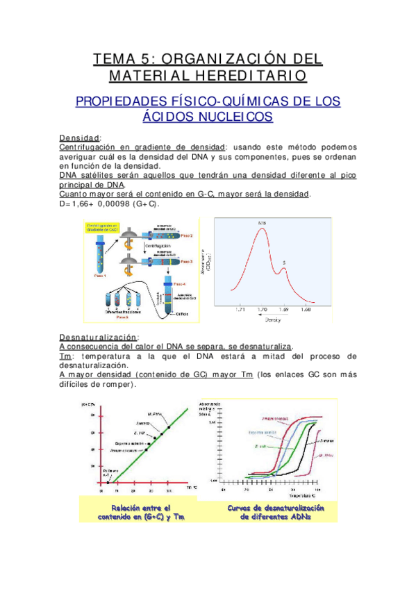 Miniatura del documento TEMA 5.pdf