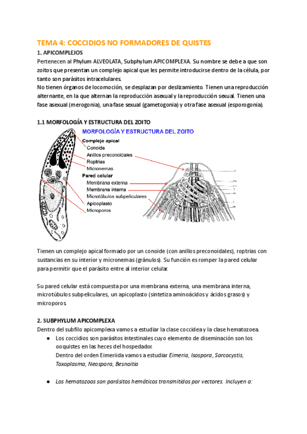 Miniatura del documento TEMA-4-5-y-6.pdf