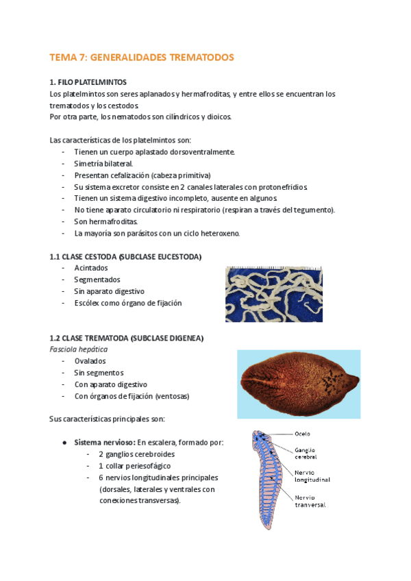 Miniatura del documento TEMAS-7-8-Y-9.pdf