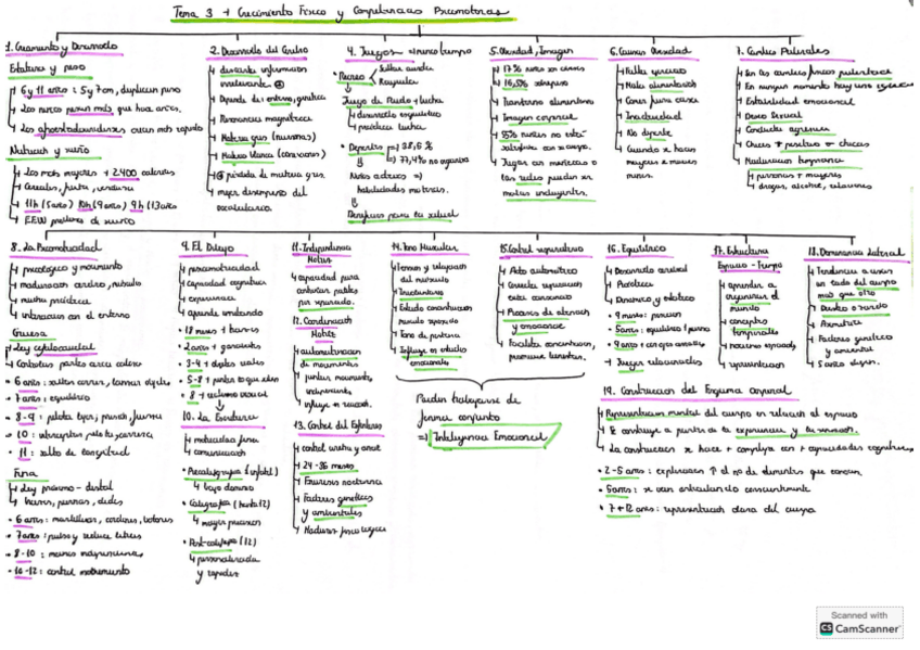 Miniatura del documento Esquema-Matricula-de-honor-tema-3-examen.pdf