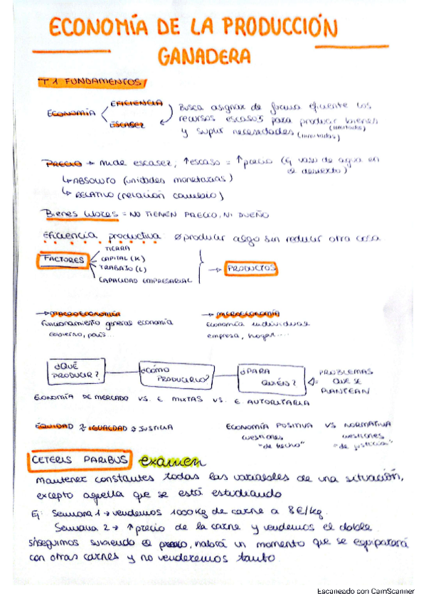 Miniatura del documento Formulario--Problemas.pdf