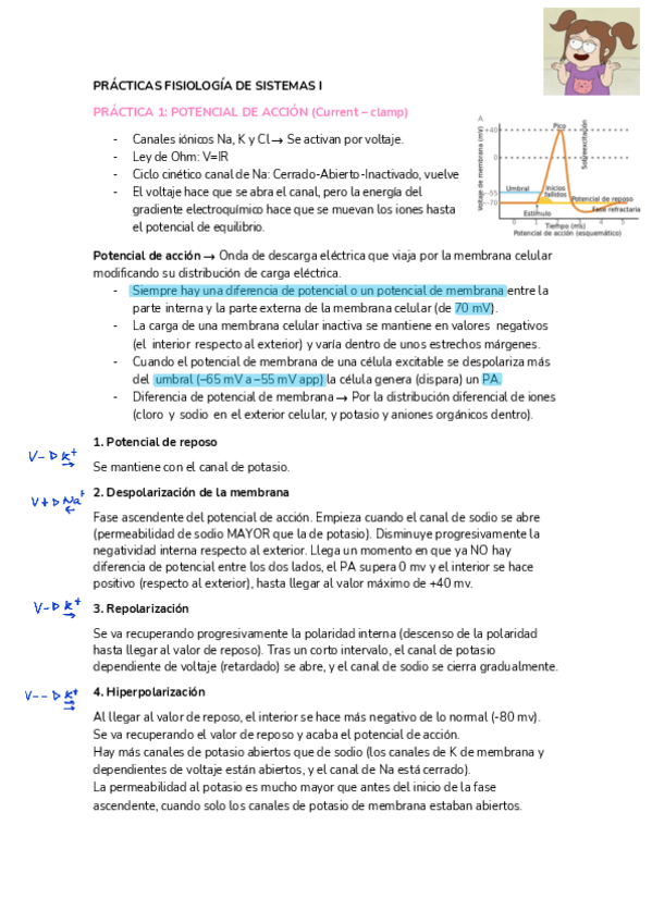 Miniatura del documento Practicas-Fisio-I-resumen.pdf