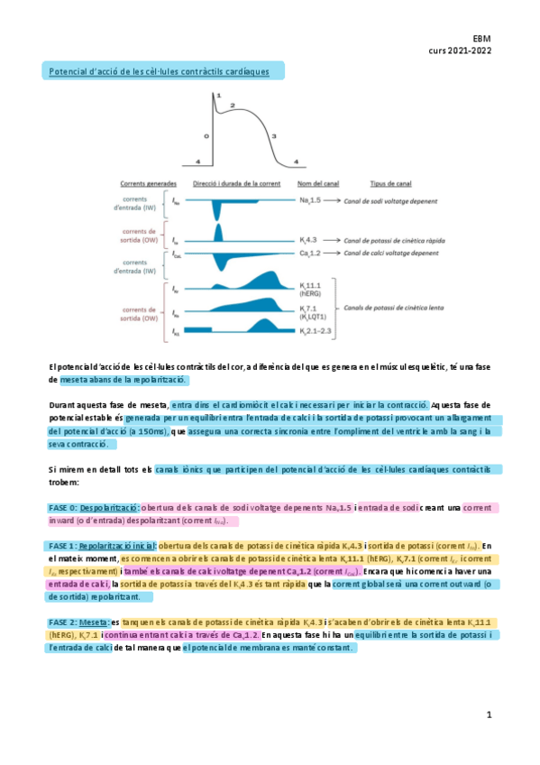 Miniatura del documento Potencial-accion-cardiaco.pdf