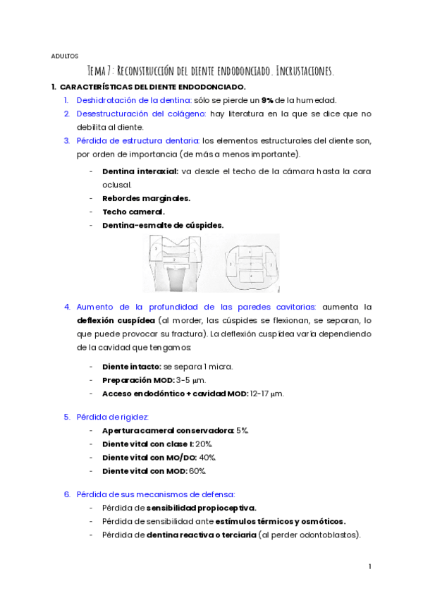 Miniatura del documento TEMA-7-ADULTOS.pdf