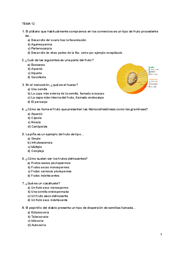 Miniatura del documento Wooclap-Botanica-II.pdf