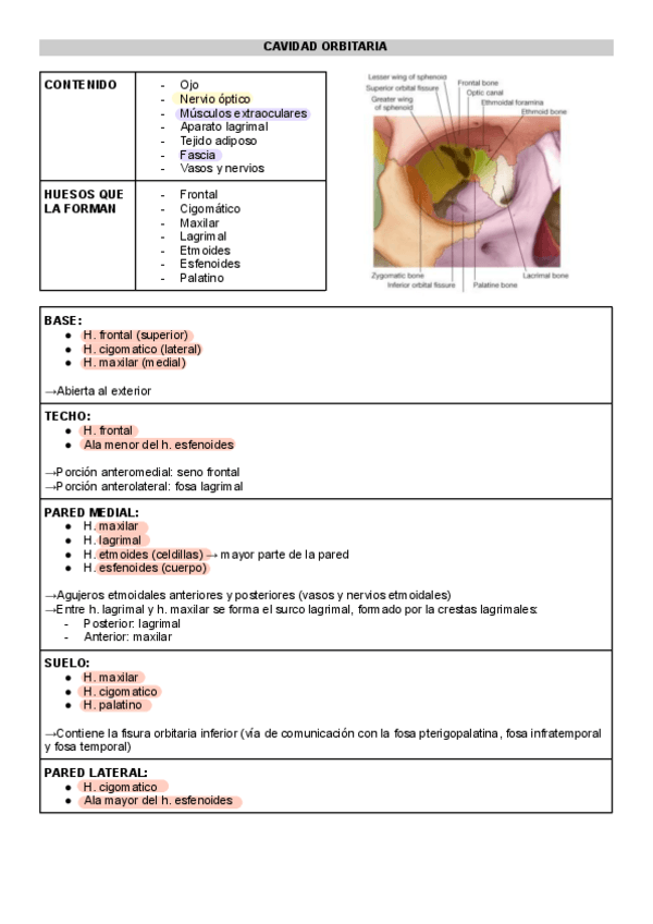 Miniatura del documento CAVIDADES-CRANEO.pdf
