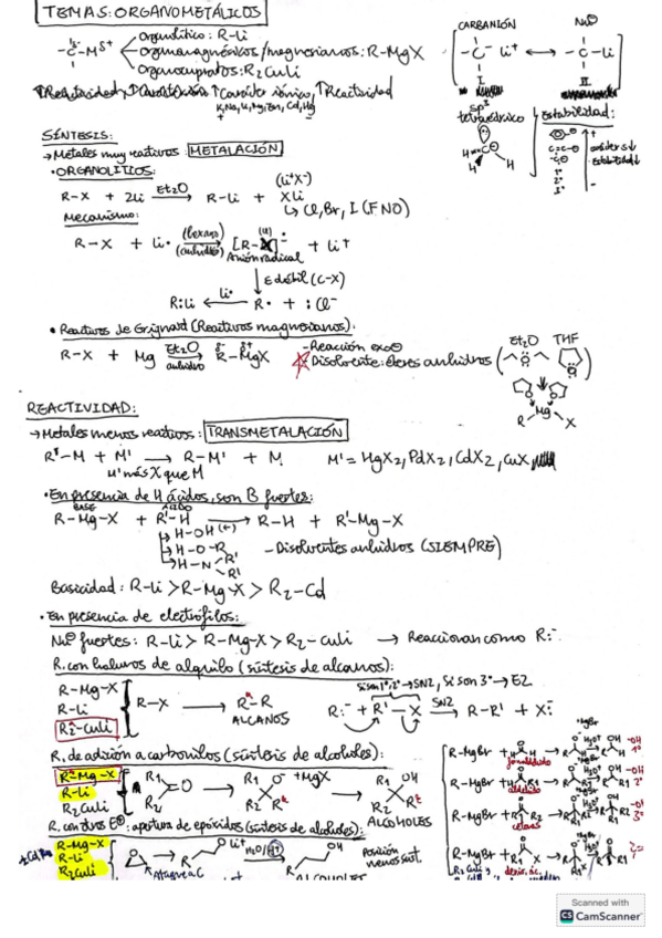 Miniatura del documento Quimica-Organica-I-Apuntes-Completos.pdf