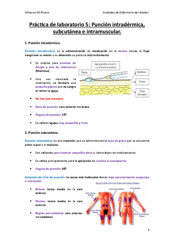 Miniatura del documento Practica-de-laboratorio-5.pdf