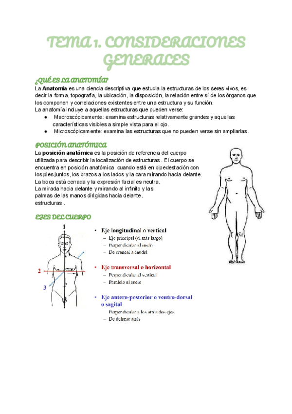Miniatura del documento TEMA-1.-CONSIDERACIONES-GENERALES.pdf