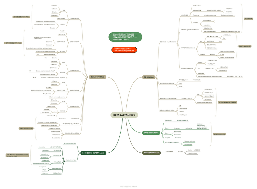 Miniatura del documento T.8-BETA-LACTAMICOS.pdf