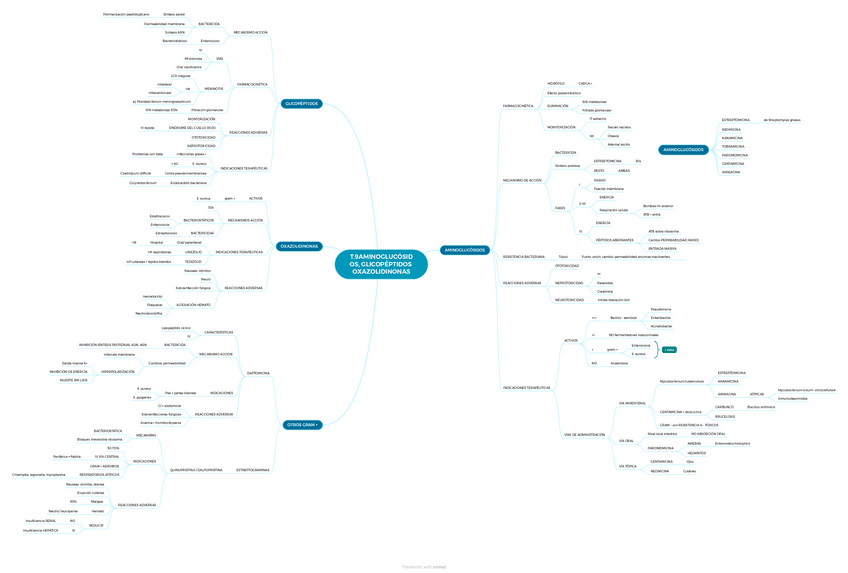 Miniatura del documento T.9-AMINOGLUCOSIDOS-GLICOPEPTIDOS-OXAZOLIDINONAS.pdf