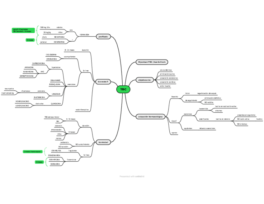 Miniatura del documento T.13-Anti-mycobacterias.pdf
