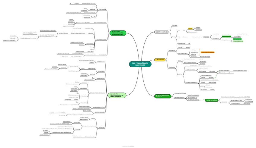 Miniatura del documento T.20-F-COLINERGICA-NICOTINICA.pdf