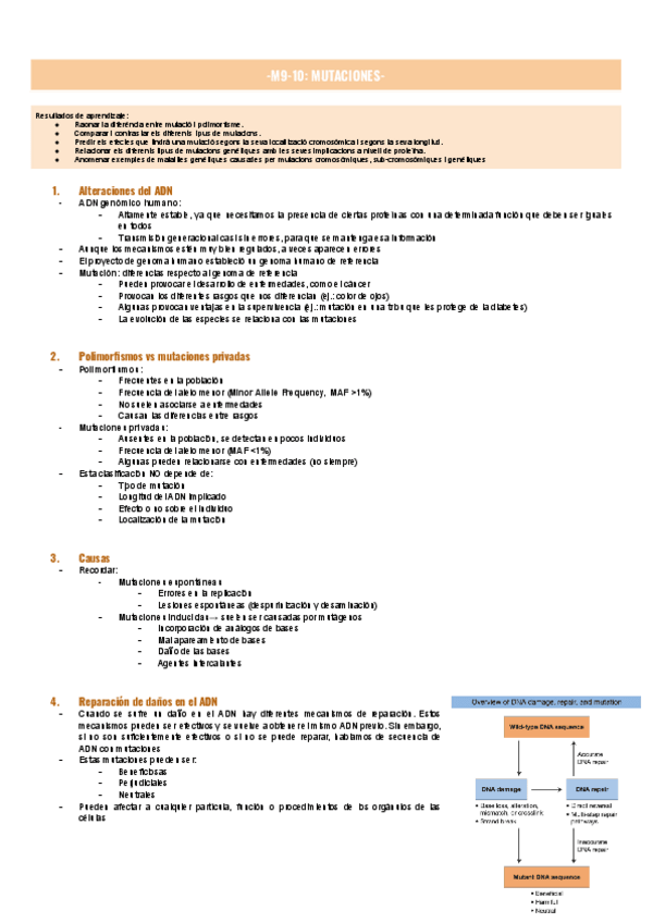 Miniatura del documento M9-10-MUTACIONES-.pdf