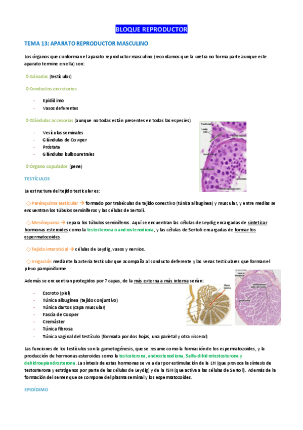 Miniatura del documento TODO-reproductor.pdf