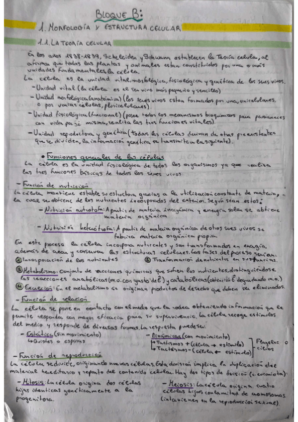 Miniatura del documento Bloque-B.-La-celula-como-sistema-complejo-e-integrado.pdf