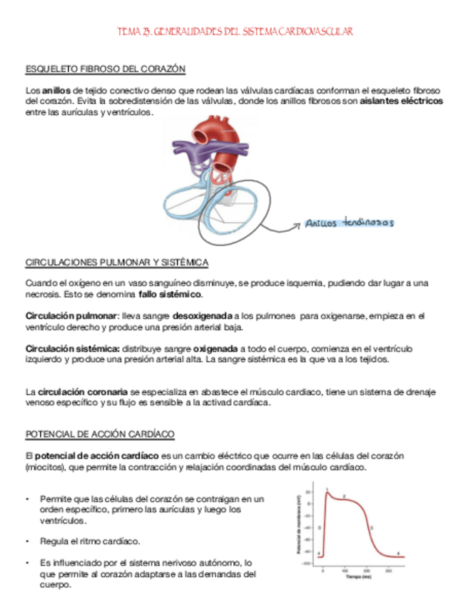 Miniatura del documento Tema-23.-Generalidades-Sist.-Cardiovascular.pdf