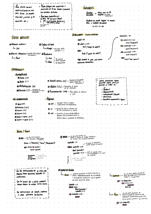 Miniatura del documento Phyton.pdf
