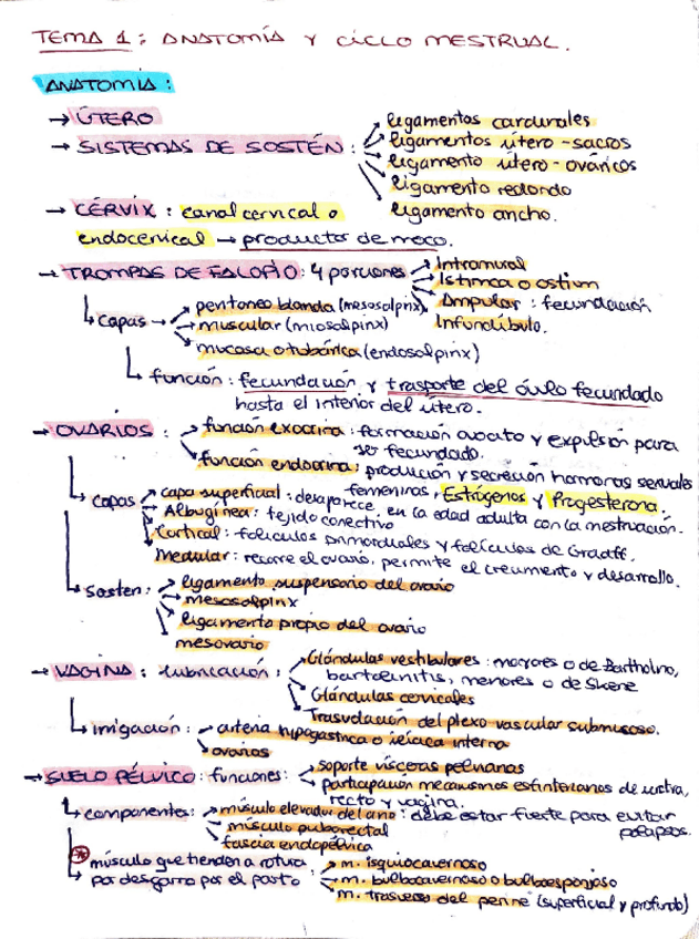 Miniatura del documento RESUMEN-FARMA-T.1-T4.pdf