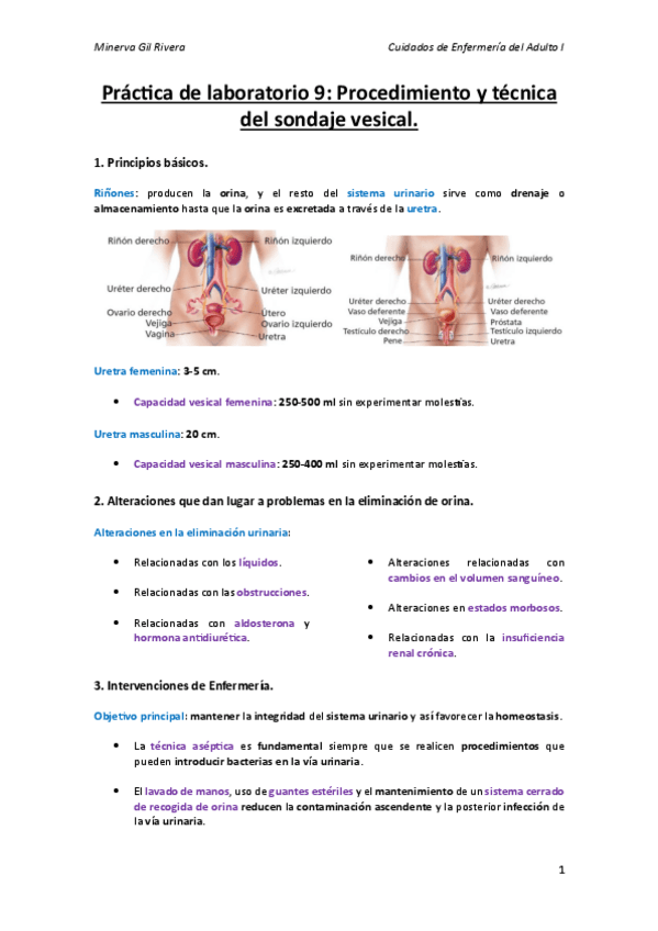 Miniatura del documento Practica-de-laboratorio-9.pdf