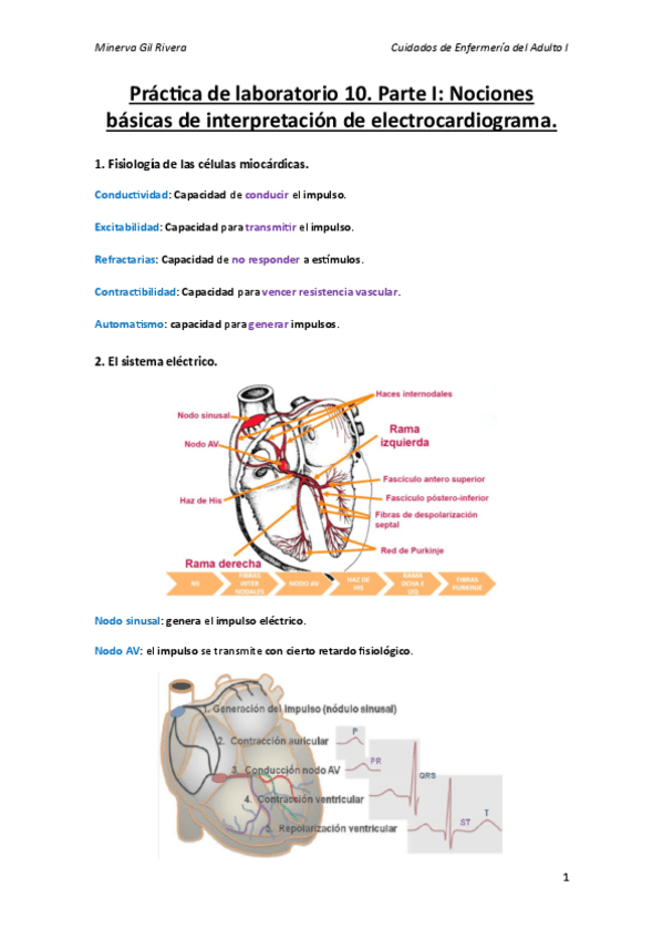 Miniatura del documento Practica-de-laboratorio-10.pdf