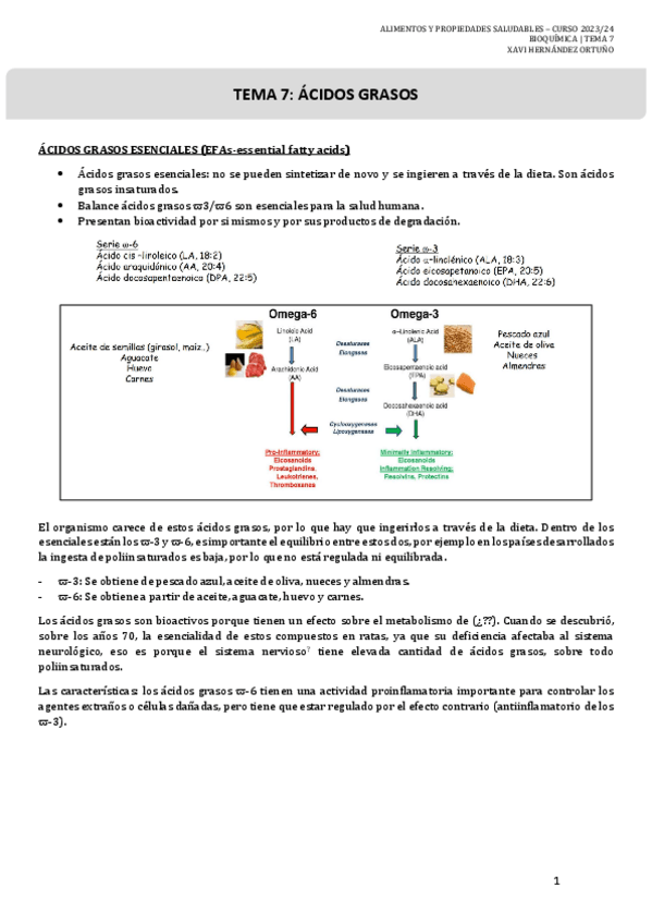 Miniatura del documento 7.-ACIDOS-GRASOS-Bioquimica.pdf