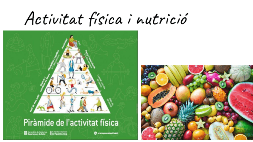 Miniatura del documento Activitat-fisica-i-nutricio-.pptx.pdf