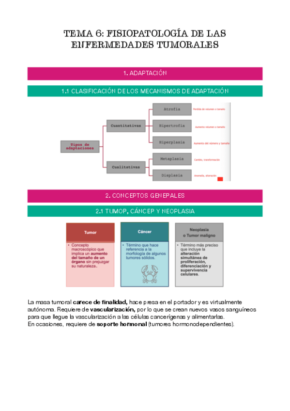 Miniatura del documento tema-6.pdf