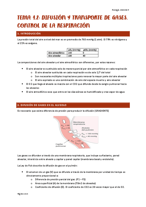 Miniatura del documento TEMA-4.2-FISIO.pdf
