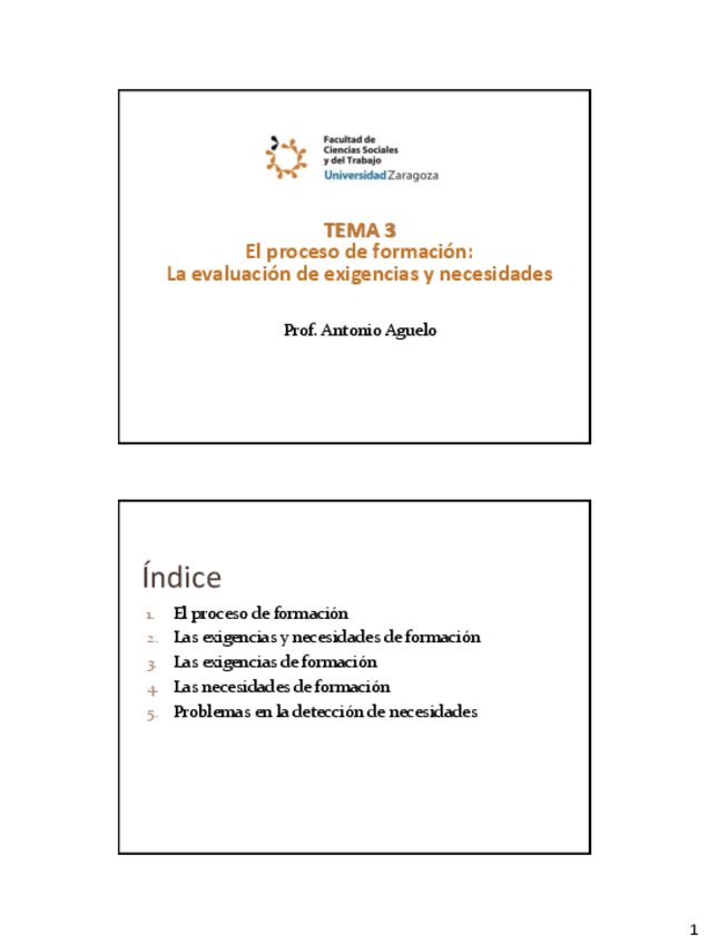 Miniatura del documento Tema03ExigenciasNecesidadesFormacion.pdf