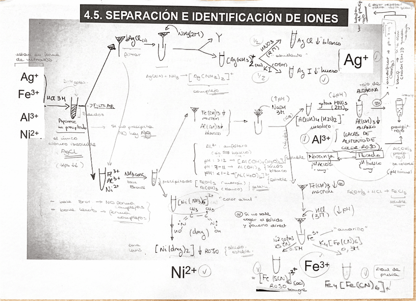 Miniatura del documento EXAMEN-Practico-Quimica-General.-Identificacion-de-iones..pdf