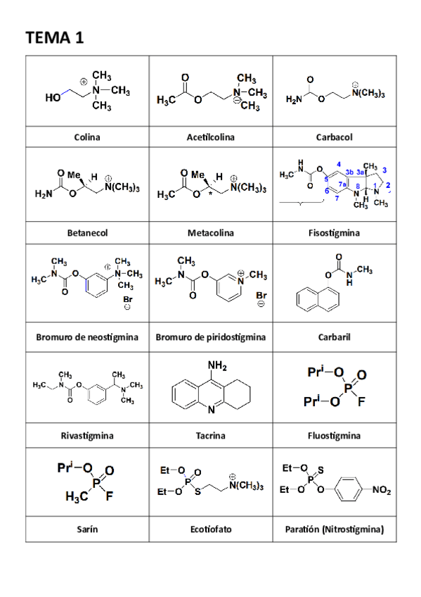Miniatura del documento Estructuras-primer-parcial.pdf