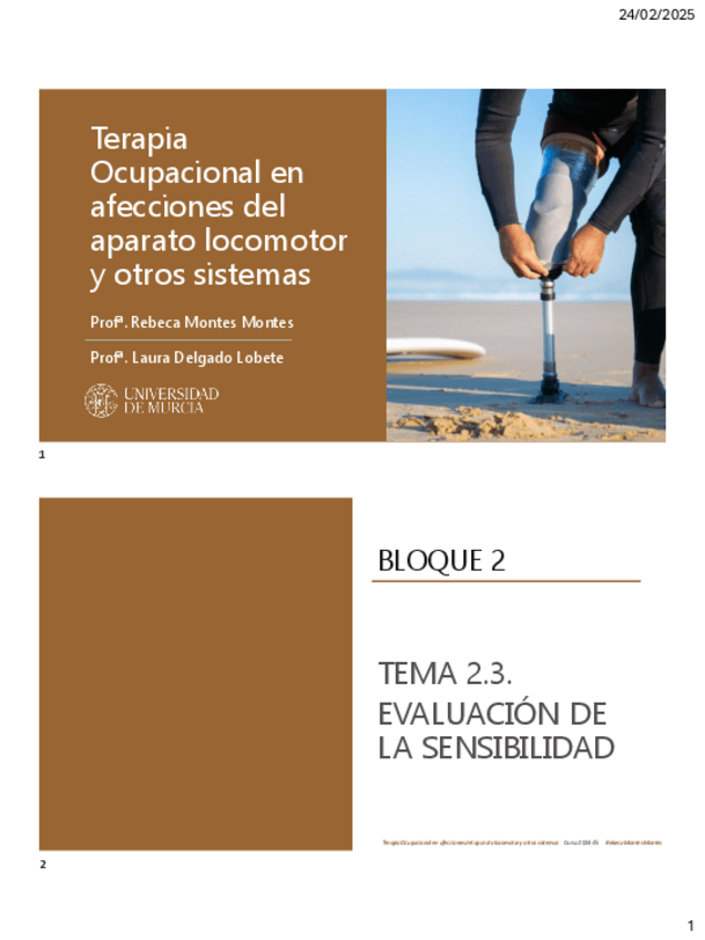 Miniatura del documento 23-Evaluacion-de-sensibilidad.pdf