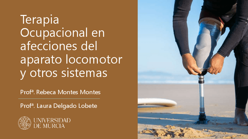 Miniatura del documento 24-Evaluacion-de-la-vision-y-los-procesos-visuales-2.pdf