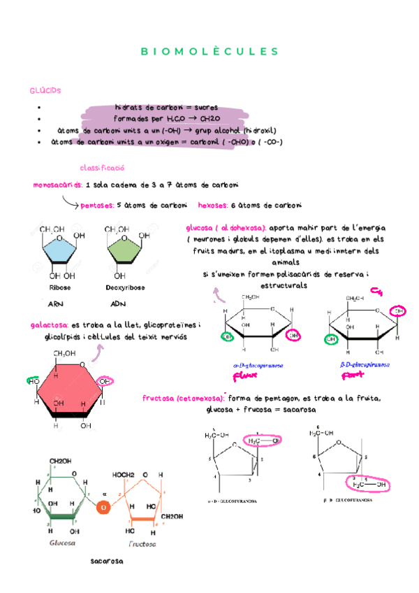 Miniatura del documento biomolecules.pdf