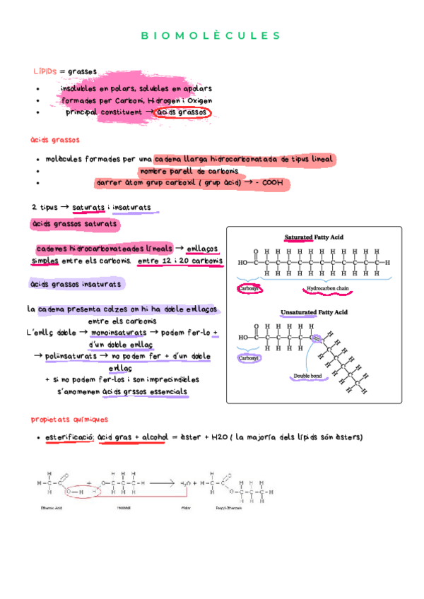 Miniatura del documento biomolecules-1.pdf