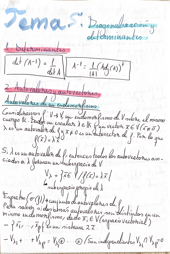 Miniatura del documento ALG-I-teoria-T.5.pdf