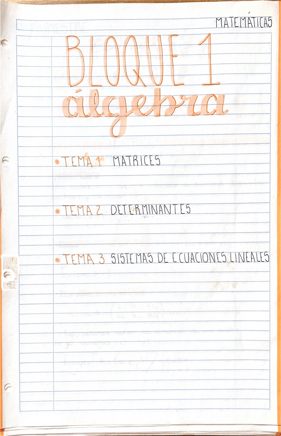 Miniatura del documento BLOQUE 1. ÁLGEBRA.pdf