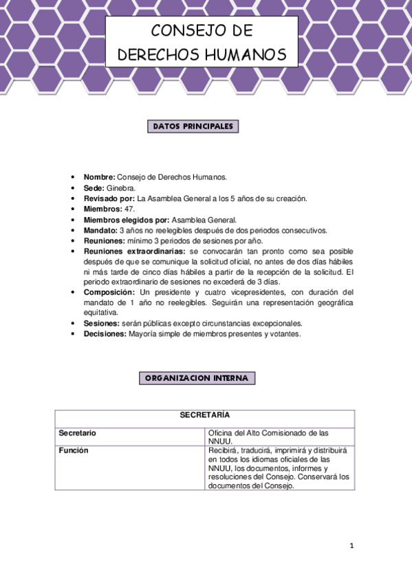 Miniatura del documento Consejo-de-DDHH.-Resumen..pdf