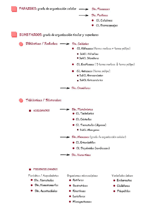 Miniatura del documento Lista-de-filos-Zoo.pdf