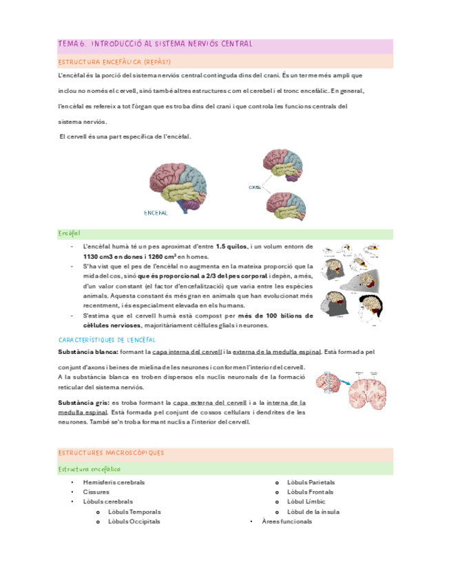 Miniatura del documento TEMA-6.-INTRODUCCIO-AL-SISTEMA-NERVIOS-CENTRAL.pdf