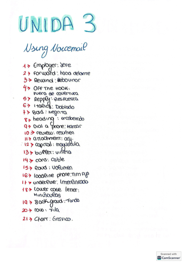 Miniatura del documento Using-noicemail.pdf