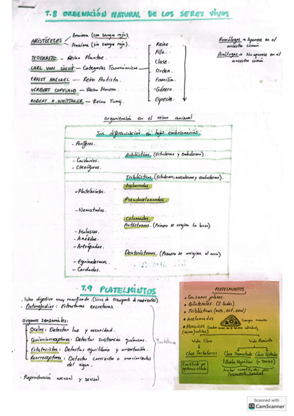 Miniatura del documento Biologia-Animal-Esquemaresumen.pdf
