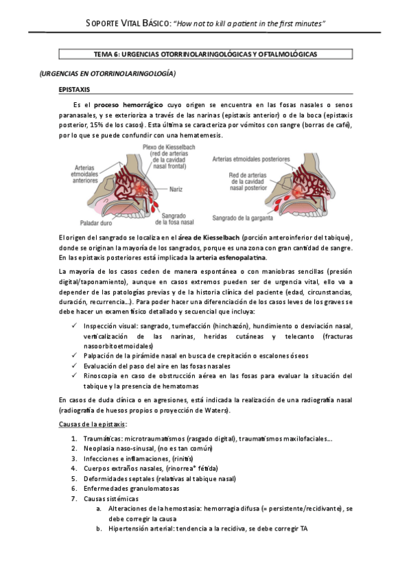 Miniatura del documento Soporte-vital-tema-6-Urgencias-otorrinolaringologicas-y-oftalmologicas.pdf