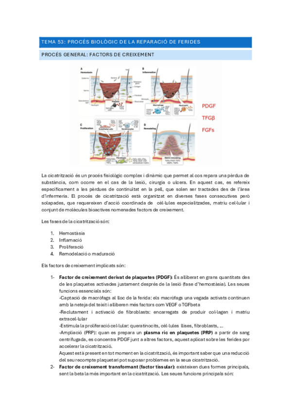 Miniatura del documento tema-53.pdf